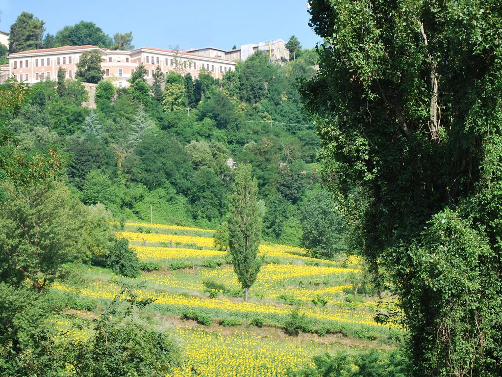 B&B Villa Paradiso 우르비노 외부 사진